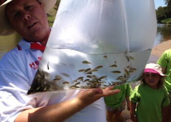 Native stocks boosted out west